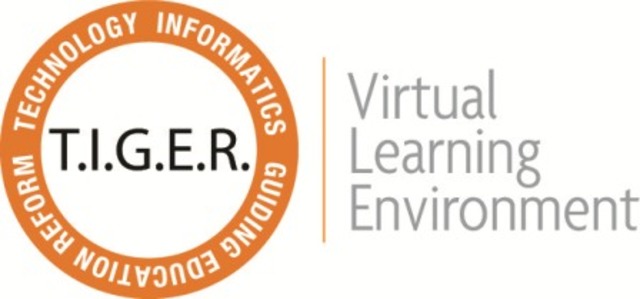 The TIGER Initiative - Safer Healthcare