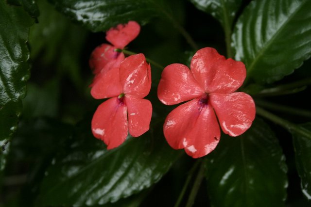 La fotografia hoy en dia