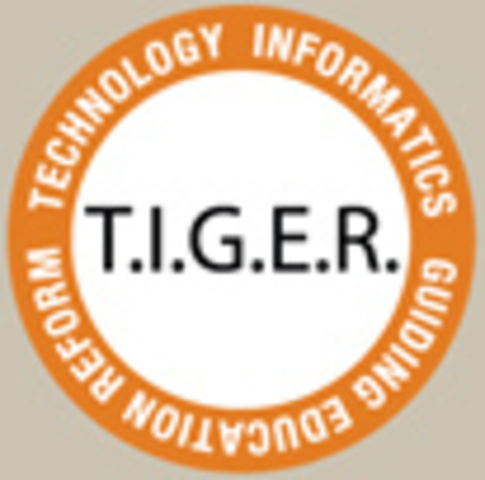 TIGER Informatics Competencies Collaborative (TICC) Final Report