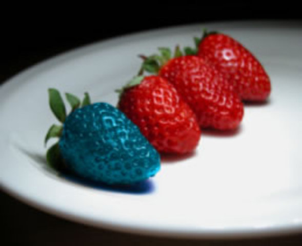 All of our food will be GM