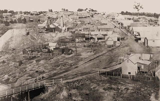 What the Gold Fields Look Like