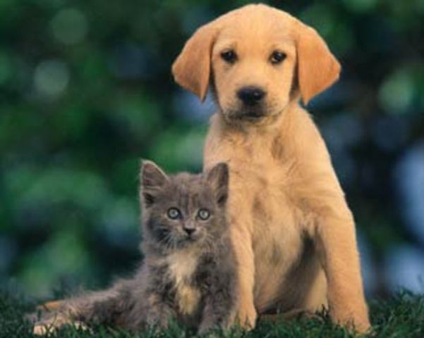 Burlington Coat Factory