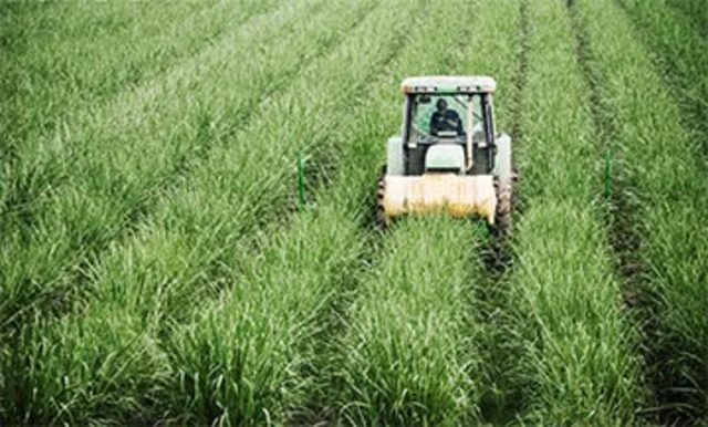 Investigación Industrial y Agrícola