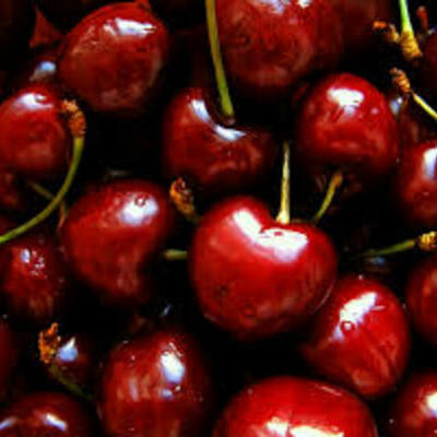 Timeline: english final By Cristian Alvarez