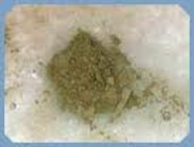 MINERAL TRIÓXIDO AGREGADO (MTA)