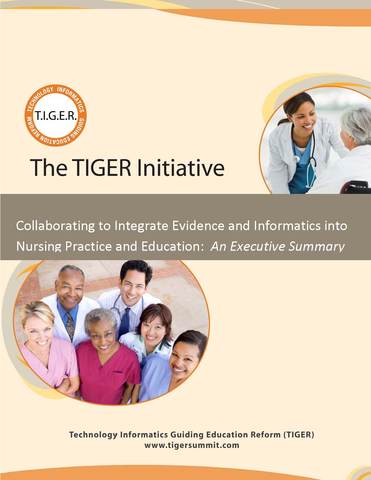 TIGER SUMMIT Evidence and Informati cs Transforming Nursing (Summary Report)