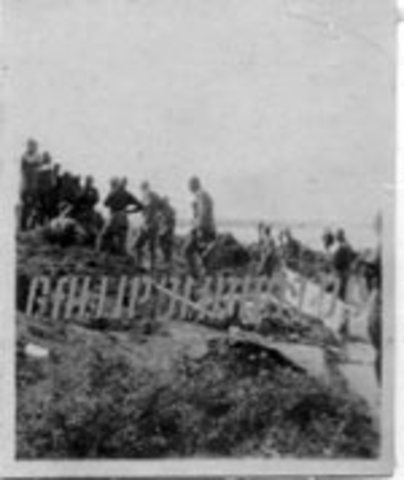 Landing to Gallipoli