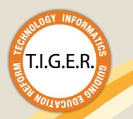 TIGER Report