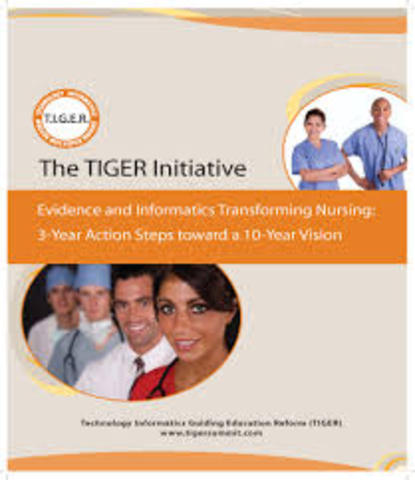 TIGER Summit Informatics Competenceis