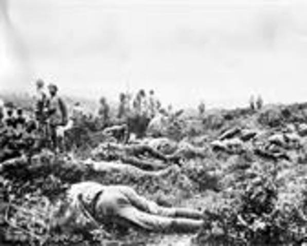 The turkish offensive