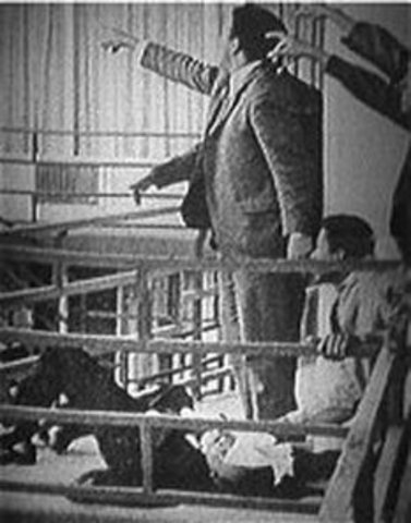 Dr. Martin Luther King Jr Assassinated