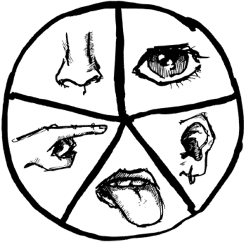 Stages of Cognitive Development