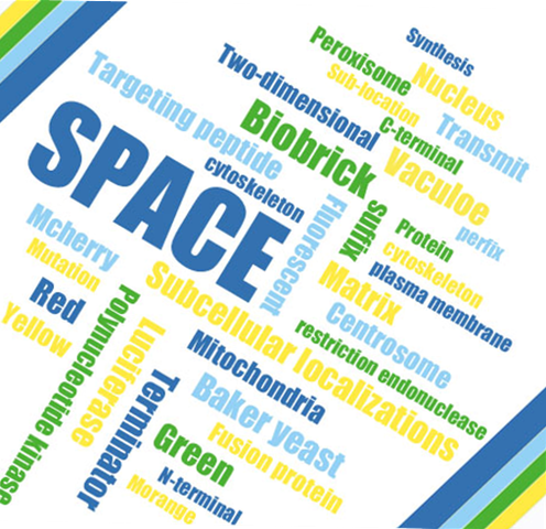 biobricks & presentation