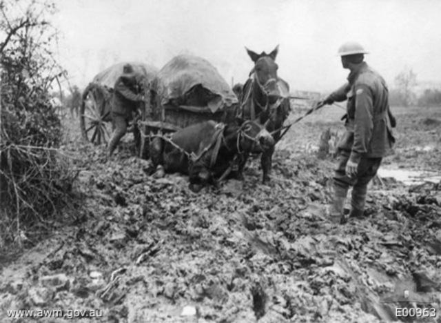 Third Battle of Ypres (Passchendaele Campaign)