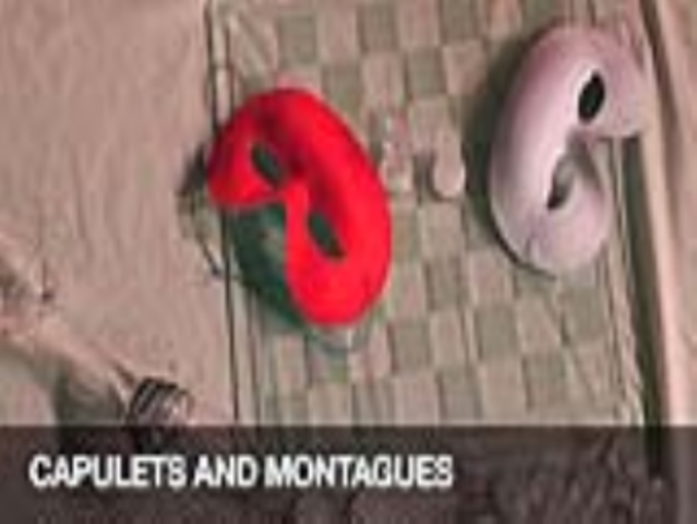 Montague's and Capulets