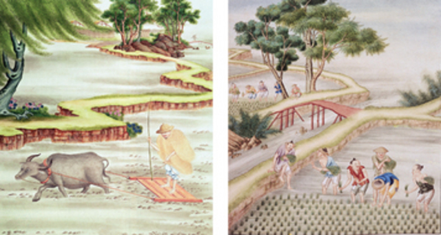 reasons for Agricultural Changes