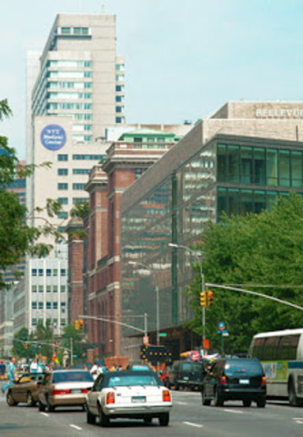 NYU - School of Medicine - Year 3 - $54,639.90