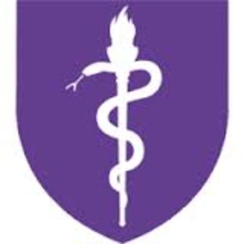 NYU - School of Medicine - Year 4 - $57,731.90