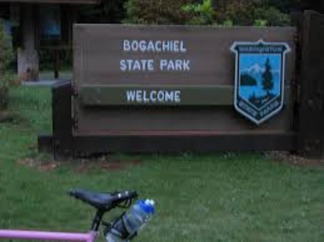 Bogachiel State park