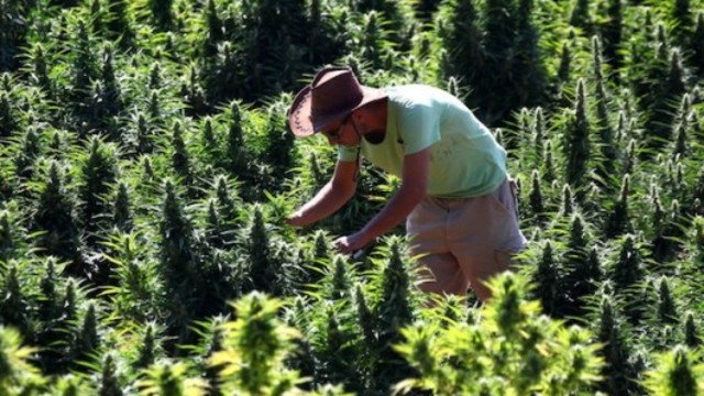 Washington becomes the first state to legalize marijuana.