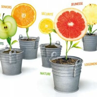 Timeline: Chronologie des dispositifs pour les l'insertion des jeunes