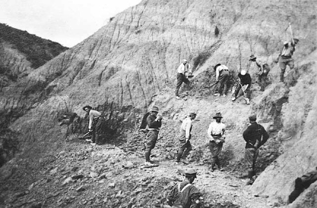 Preparation for August Offensive