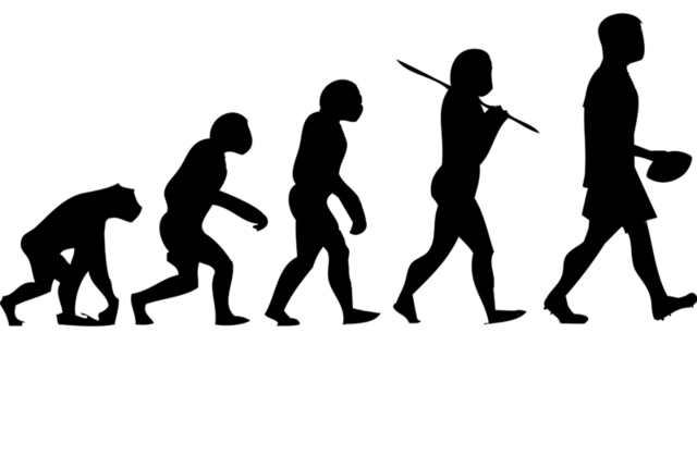 The theroy of Evolution