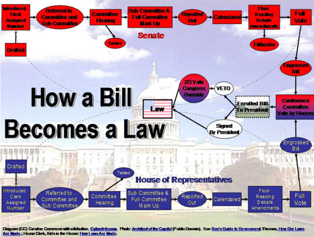 Laws and Bills