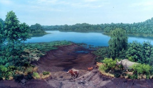 Cenozoico - Terciario - Mioceno (25 millones de años)