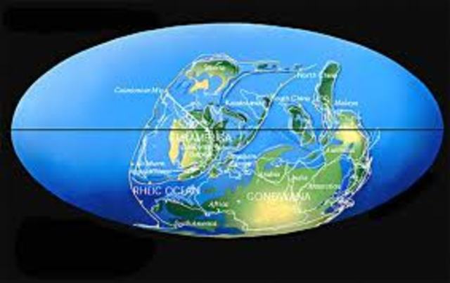 PERÍODO DEVÓNICO (395 a 345 millones de años)