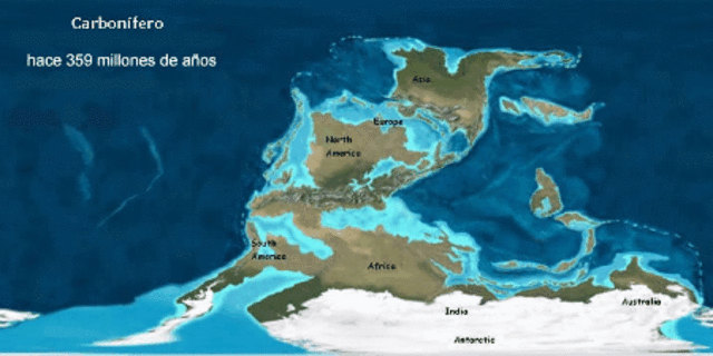 PERÍODO CARBONÍFERO (345 a 280 millones de años)