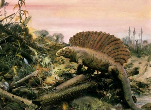 Paleozoico - Pérmico (286 millones de años)