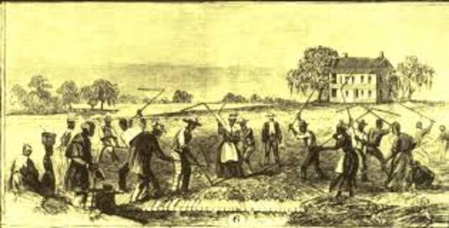 Carolina's Rice Planters Take Control of Southern Section