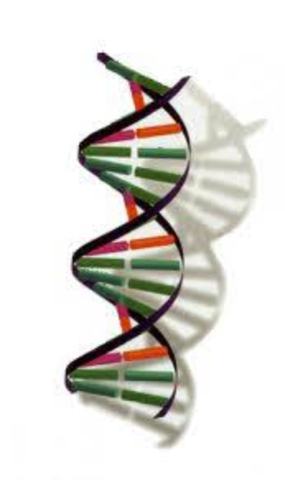 Hereditary Genius book is published.