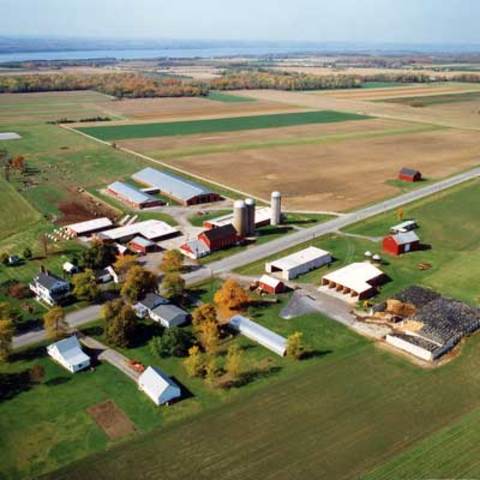 Industry and aguculture equal out in  economy