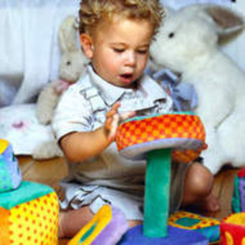 24-30 Months Cognitive Development