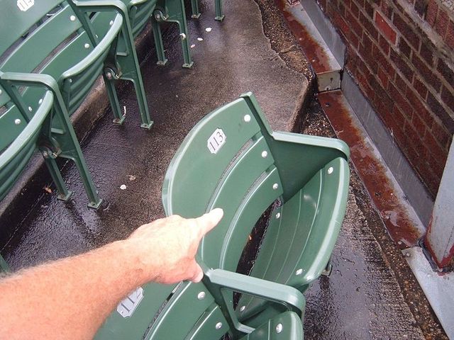 Steve Bartman:The Scape Goat