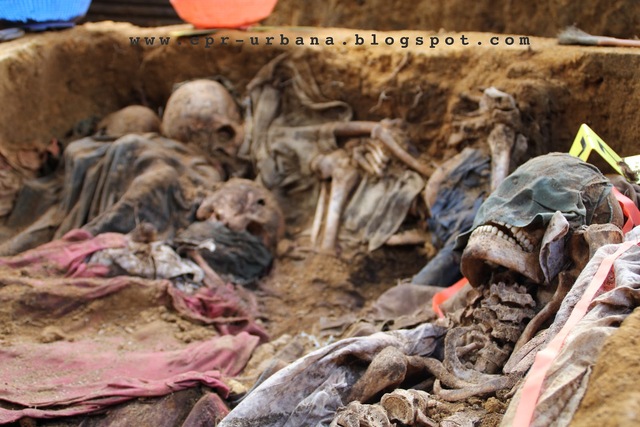 INISIO DE CAPOS DE ESTERMINIOS