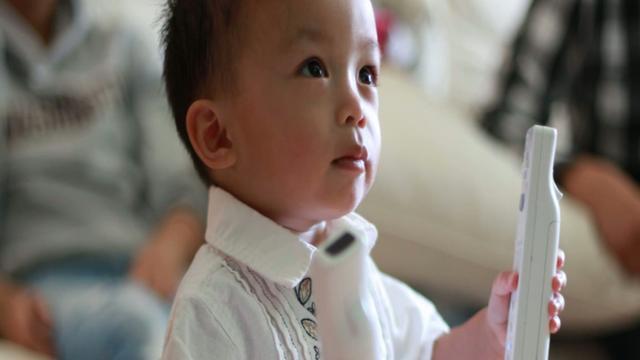 24-30 Months Cognitive Development