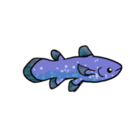 Coelocanth
