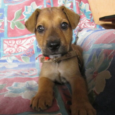 Timeline: linea de tiempo