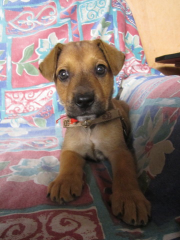 En esta foto Scott tenia un mes