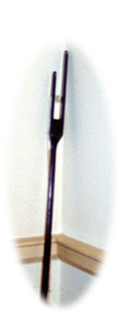 Invented the Long Arm to help reach books on high shelves