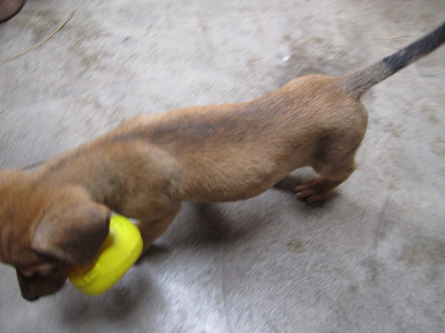 En esta foto Scott esta jugando con su patito