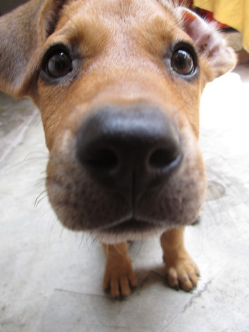 En elsta foto se acerco mucho a la camara