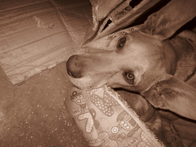 esta foto es cuando ya tenia 6 mese