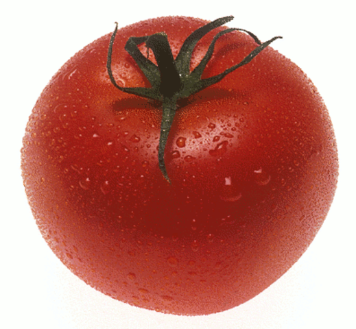 The first genetically engineered food product, the FlavrSavr tomato, receives US Food and Drug Administration approval.