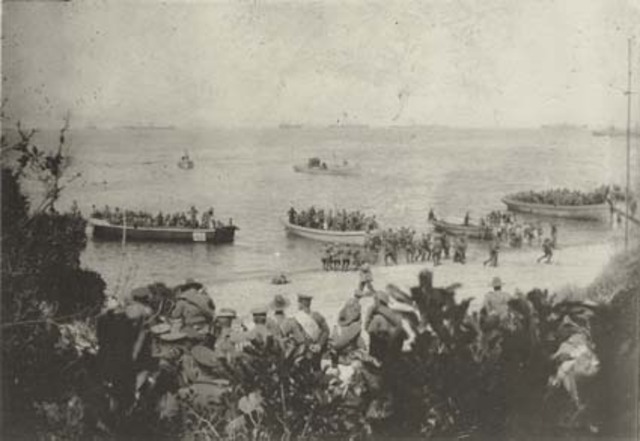 Australians landed in gallipoli