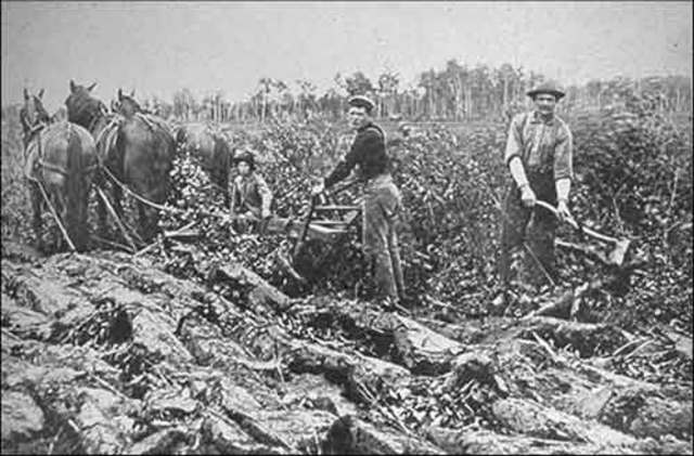 From Agriculture to Cities