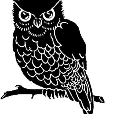 Timeline: rachel is old